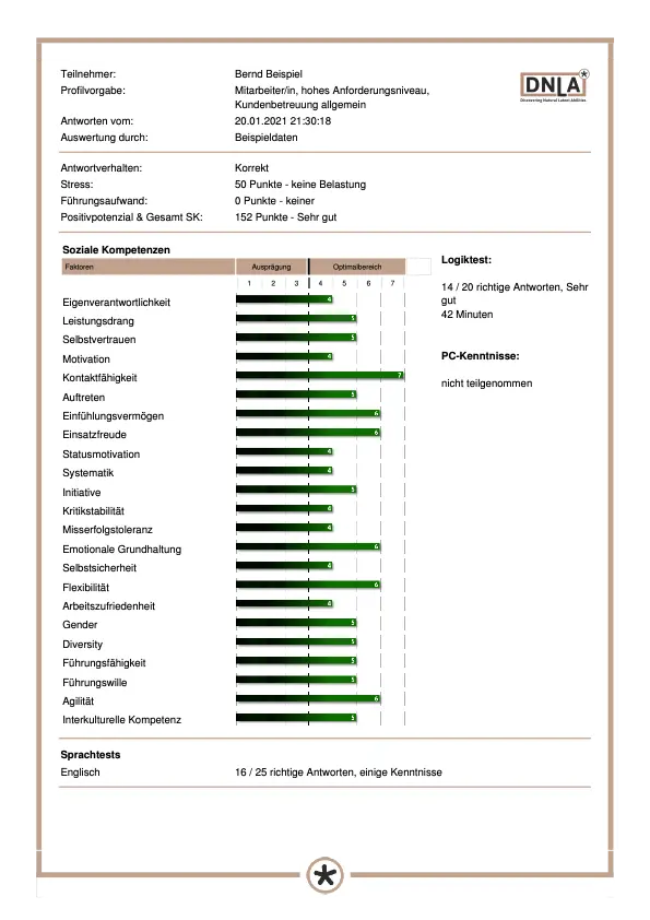 DNLA Potenzialanalyse Beispiel